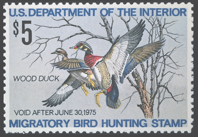 US Department of the Interior 1974-1975