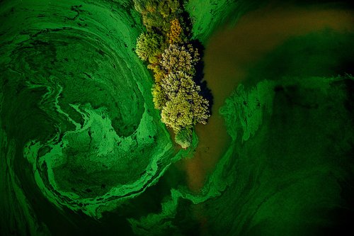 Herbicide Manufacturing Plant A Great Breach in Nature