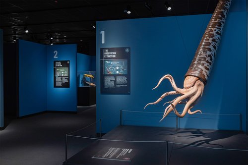 Six Extinctions Orthoceras