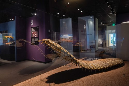 Six Extinctions Arthropleura
