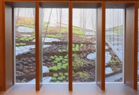 Auditorium window