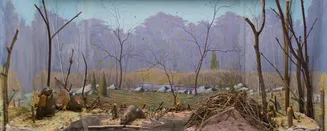 Paul G. Howes (American, 1892–1984) American beaver miniature diorama