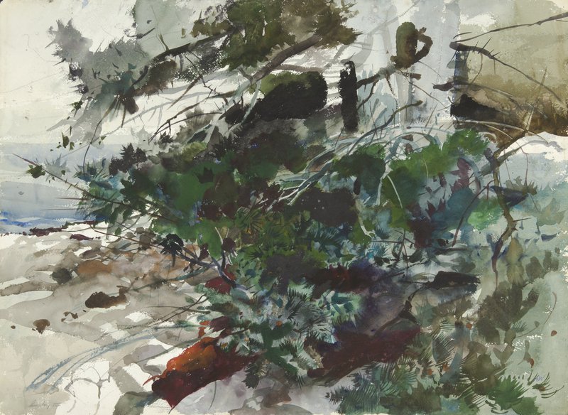 Andrew Wyeth, Coot Hunter Study 1941