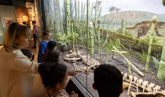 Docent - science class