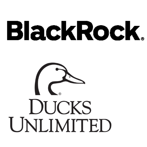 Duck Stamps Sponsors, Blackrock, Ducks Unlimited