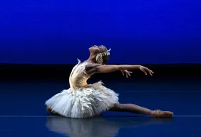Dying Swan by Michel Fokine, featuring Aleisha Walker - photo by Erin Baino