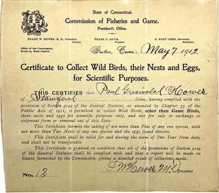 Paul G. Howes’s Certificate to Collect Wild Birds, their Nests, and Eggs for Scientific Purposes