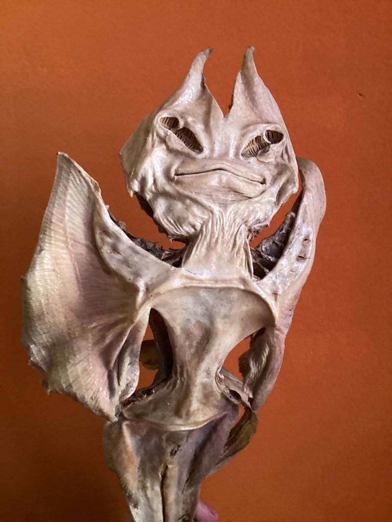 "Jenny Haniver", a stingray carcass artificially shaped into a humanoid creature. "Courtesy of Justin Fornal