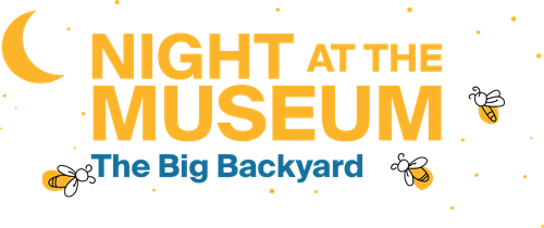 Night at the Museum Logo 26