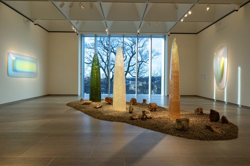 Photograph from the Gisela Colón: Radiant Earth exhibition