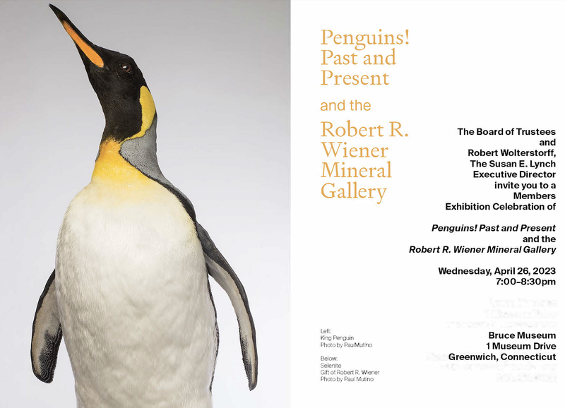 Penguins and Minerals Members-only invite