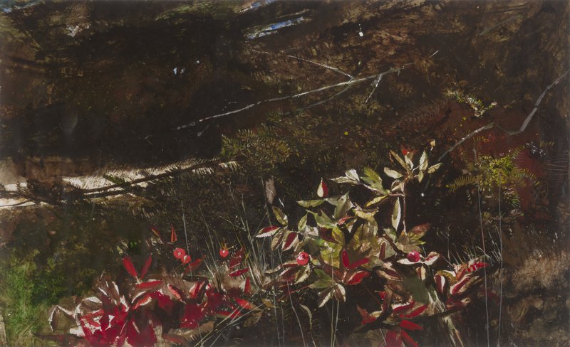 Andrew Wyeth, Rose Hips, 1981