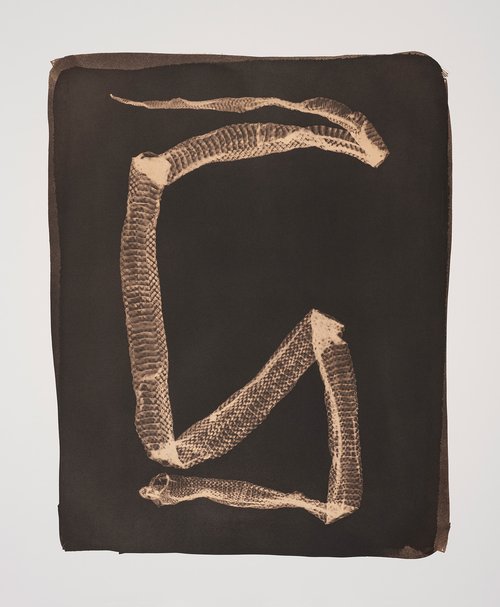 Serpent 4 Jo Sandman