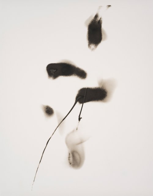 Thermal Drawing 3 Jo Sandman