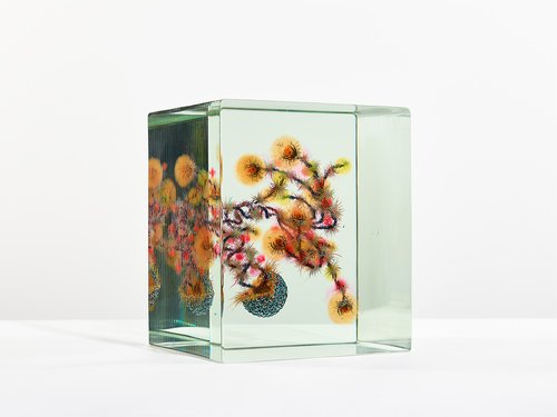 Seed 14 Dustin Yellin