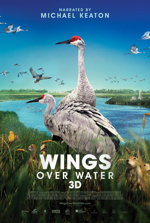 Wings Over Water Poster