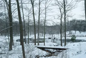 Winter landscape with the Pavilion in the Pond (1962) Photo by Michael Biondo