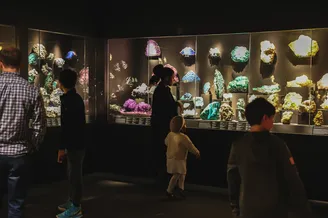 Mineral exhibit with families