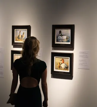 Patron member - Duck Stamps exhibition