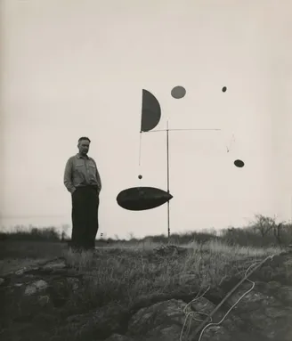 Alexander Calder, Steel Fish