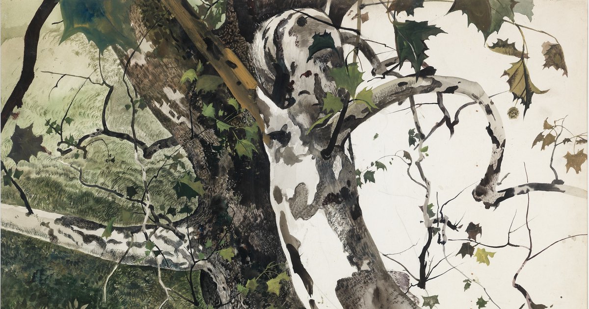 Every Leaf & Twig: Andrew Wyeth's Botanical Imagination