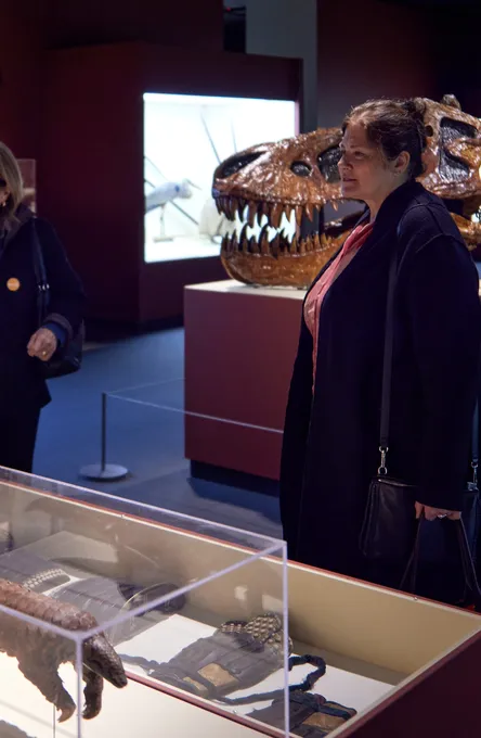 Adult docents in Arms and Armor