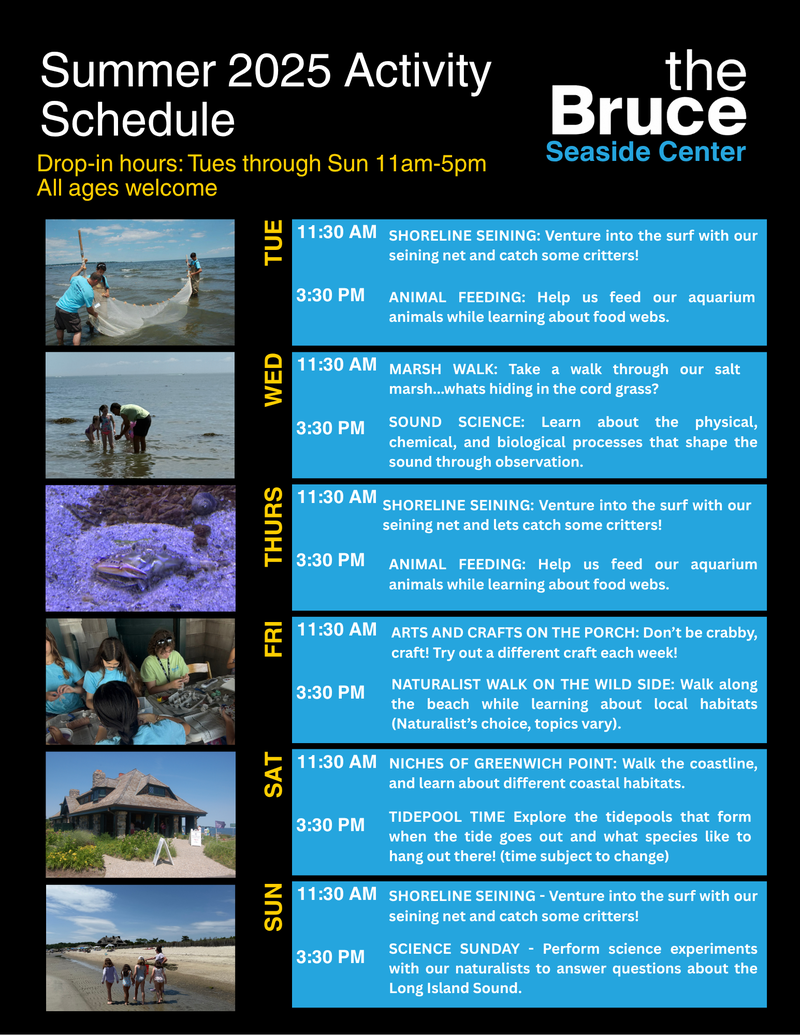 Bruce Museum Seaside Center Summer Schedule 2025