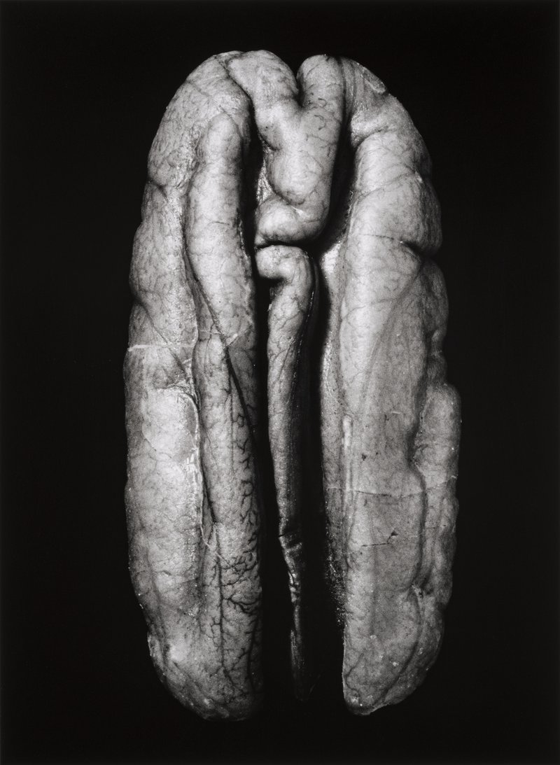 Kenji Nakahashi (American, b. Japan, 1947–2017) Pecan, 1987